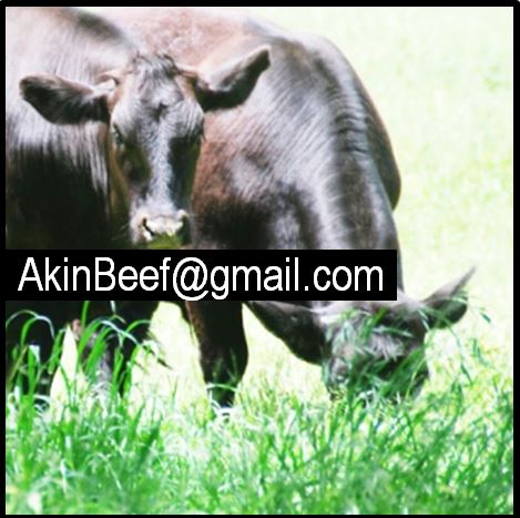 Akin Farm Logo